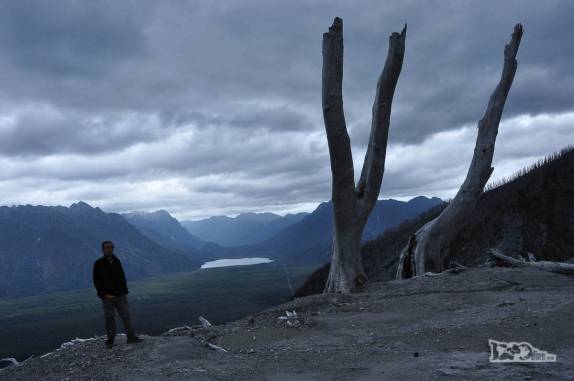 Os restos calcinados de antigas árvores gigantes no topo do vulcão Chaitén, no sul do Chile